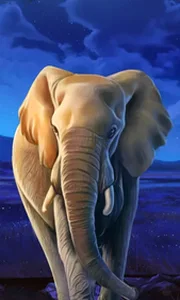 African Elephant