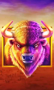 Buffalo King