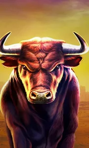 Black Bull